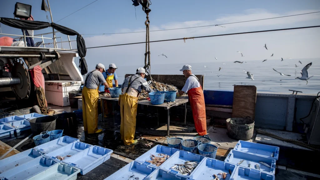 La pesca alicantina recibe un impulso histórico con 39,5 millones para 2026