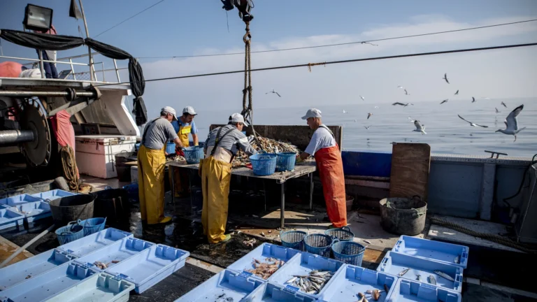 La pesca alicantina recibe un impulso histórico con 39,5 millones para 2026