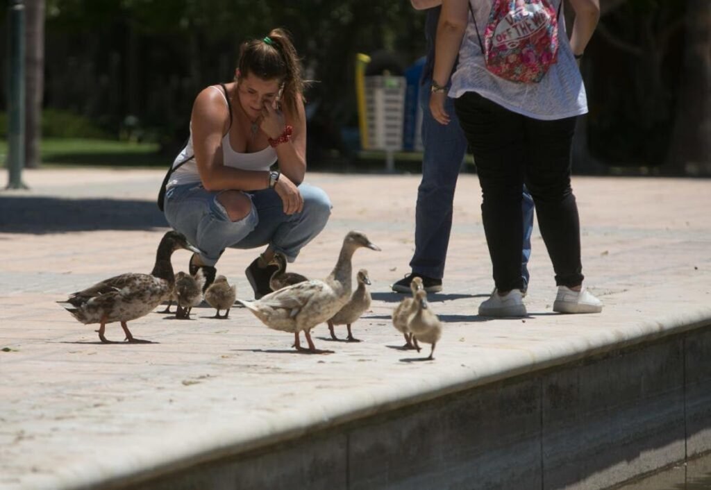 La Universidad de Alicante rompe el silencio y asegura que los animales de su recinto están bien cuidados