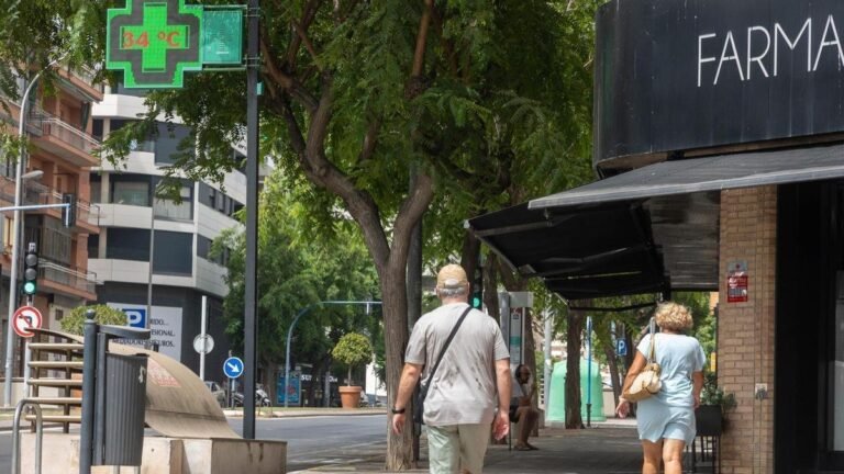 Cerca de 50 asociaciones denuncian la falta de respuesta del Ayuntamiento de Alicante ante el calor extremo y exigen medidas