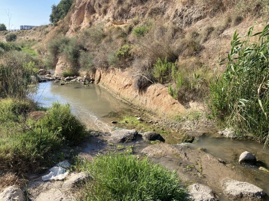 Mejoras en la pasarela del río Monnegre: Petición para una mayor integración en el corredor verde