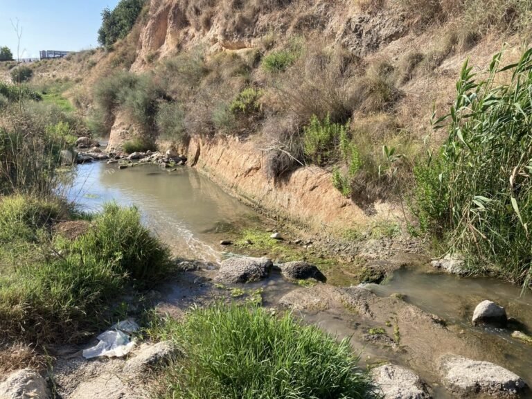 Mejoras en la pasarela del río Monnegre: Petición para una mayor integración en el corredor verde