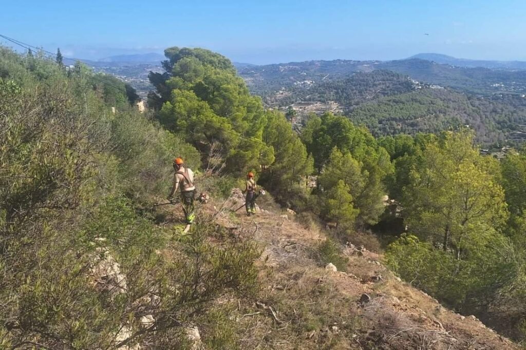 Ayudas de 800.000 euros para mejorar montes en 13 pueblos alicantinos.