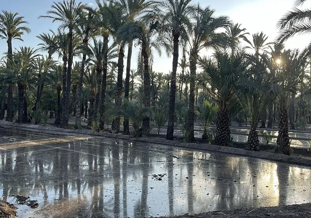 Elche prepara una red de 40 kilómetros de agua regenerada para reducir el consumo de agua potable y afrontar futuras sequías con una inversión de 11,89 millones de euros