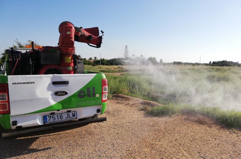 El calor dispara los mosquitos en Elche y obliga al Ayuntamiento a reforzar las fumigaciones en el Camp d’Elx y zonas húmedas