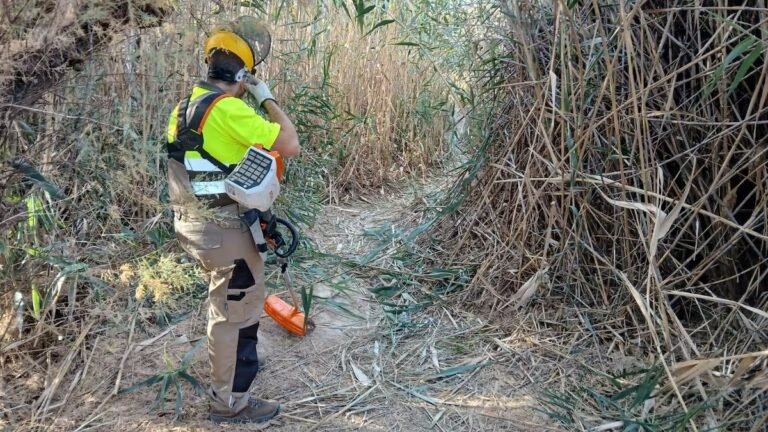 Elda refuerza la prevención de incendios forestales con un plan de vigilancia durante todo el año