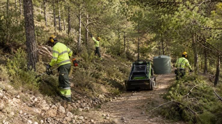 La Diputación destina dos millones de euros para reforzar la prevención de incendios en un centenar de municipios de Alicante