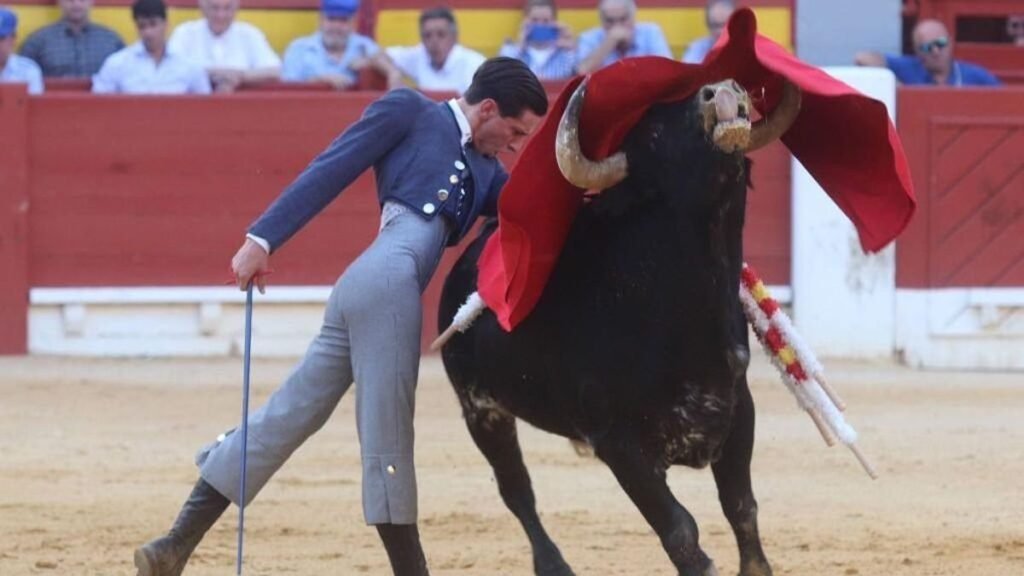 Alicante promociona la tauromaquia con clases prácticas gratuitas para jóvenes en la plaza de toros