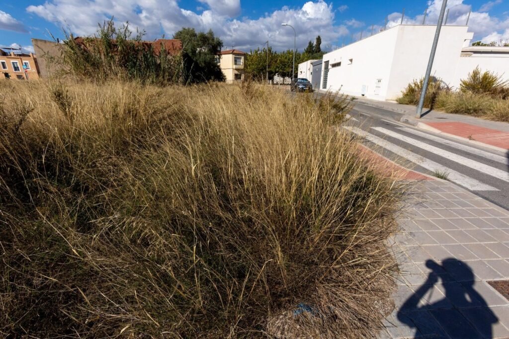 Rabasa se perfila como el futuro barrio universitario de Alicante