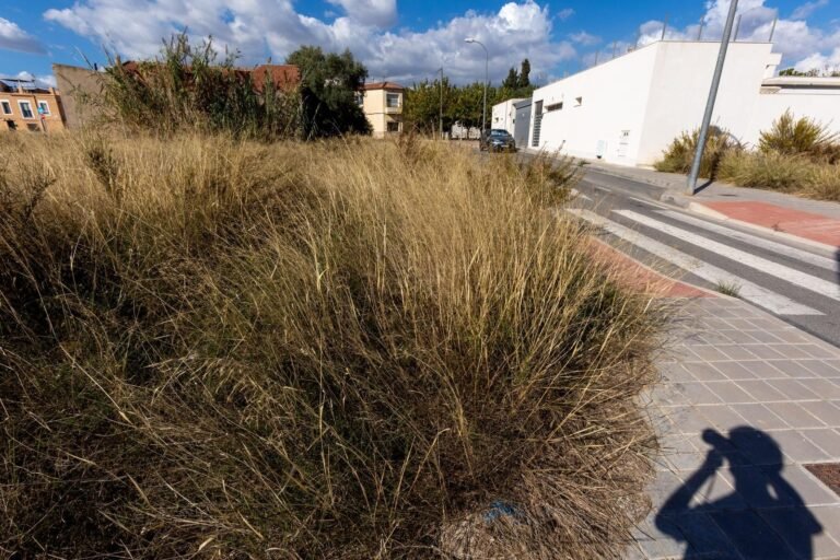 Rabasa se perfila como el futuro barrio universitario de Alicante