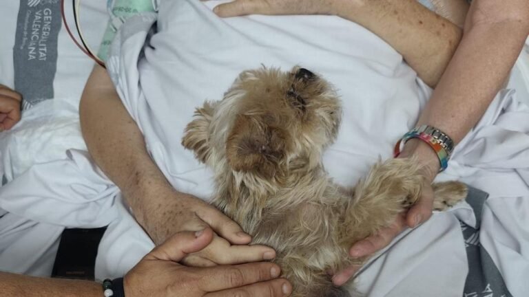 El emotivo último adiós de un paciente de la UCI de Alicante a su perro antes de morir