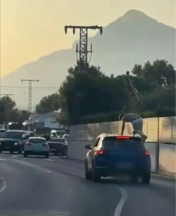 Cazado en Jávea conduciendo con una persona subida al techo del coche: denunciado por conducción temeraria