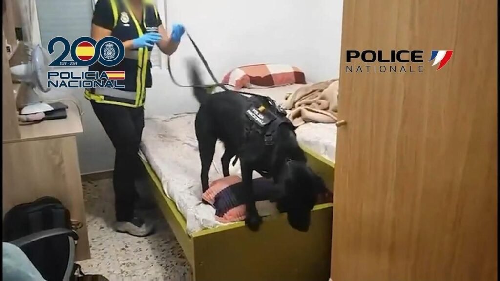 Cae en Alicante una red que trasladaba migrantes a Francia por 200 euros y habría obtenido 100.000 euros