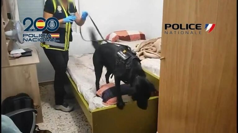 Cae en Alicante una red que trasladaba migrantes a Francia por 200 euros y habría obtenido 100.000 euros