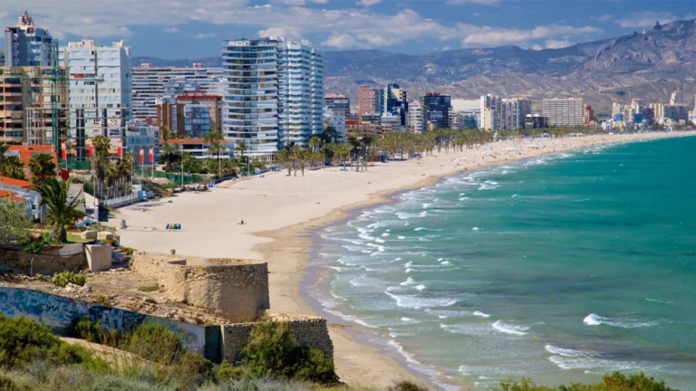 Uno de cada cuatro habitantes de Alicante es extranjero: más de 656.600 residentes y una fuerte concentración en cinco municipios