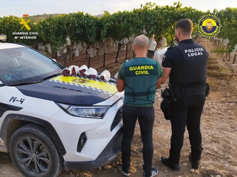 Dos detenidos en Monforte del Cid por robar 480 kilos de uva de una explotación agrícola