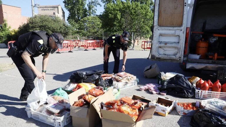 Interceptan furgoneta con alimentos en mal estado