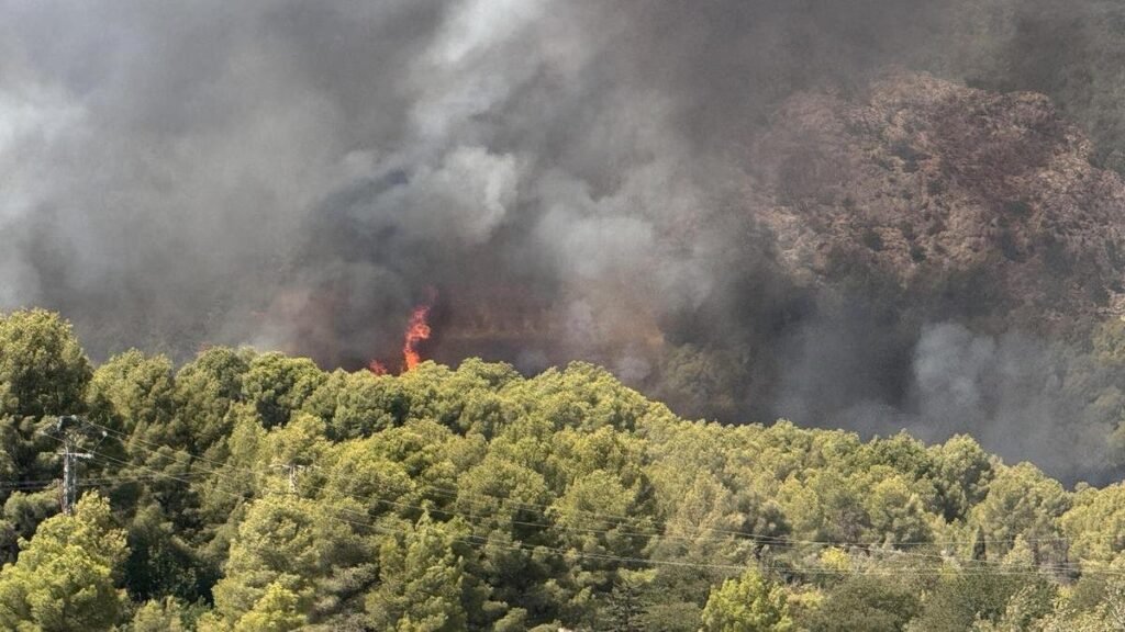 Siete medios aéreos y 15 dotaciones trabajan para controlar un incendio forestal en Polop