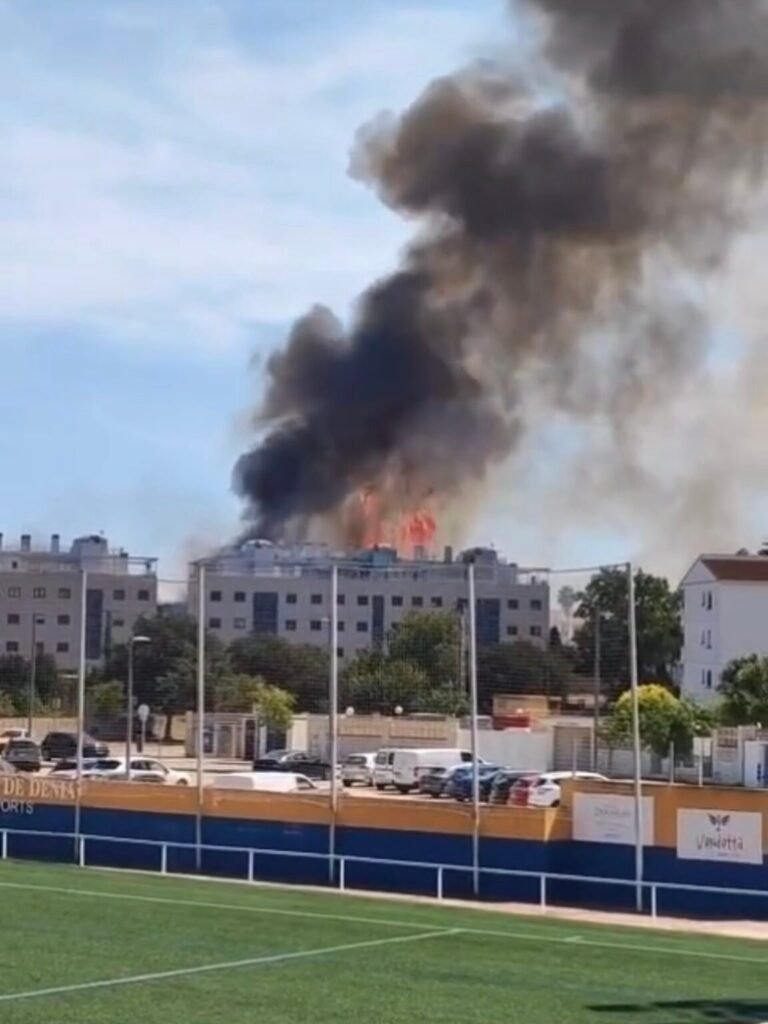 Detenido un joven tras provocar un incendio que desató el pánico en Dénia: 200 personas obligadas a desalojar, el sujeto tenía antecedentes por piromanía