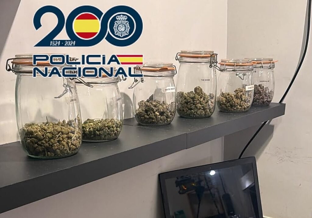 Cierran club cannábico que vendía droga a turistas