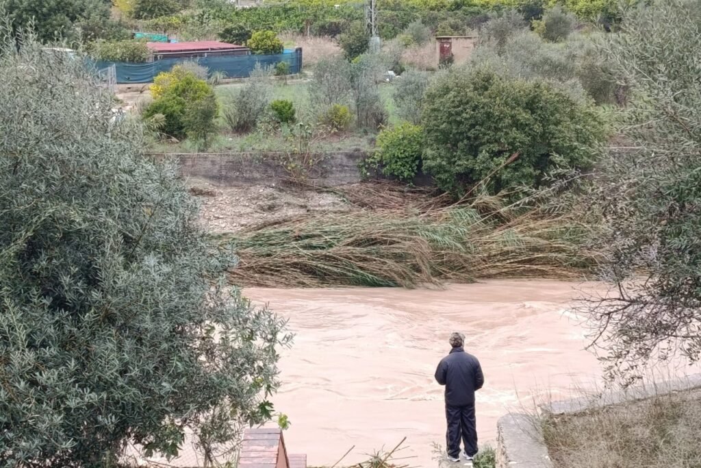 Hallan el cadáver de un agricultor en el marjal de Pego-Oliva tras el paso de la DANA Adam