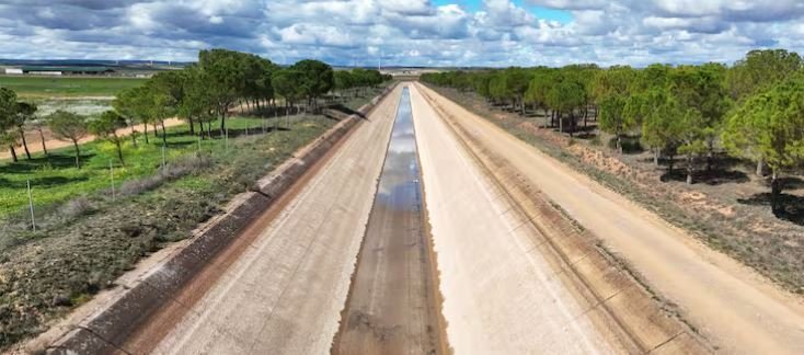 El cierre del Tajo-Segura pone en riesgo 10 millones de árboles y amenaza la huerta del sur de Alicante